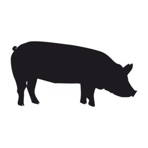 Cerdo