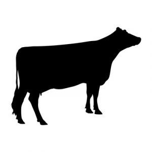 Ternera
